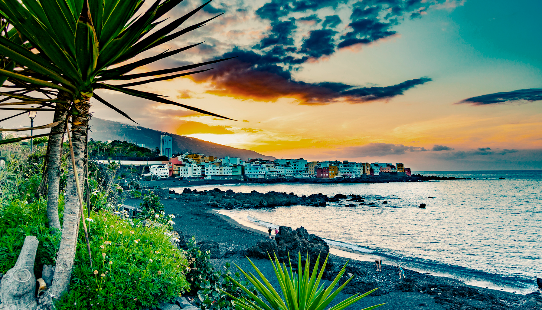 Tenerife Landscape